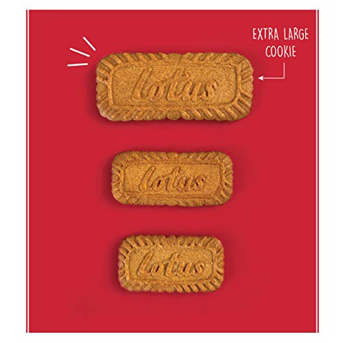 Lotus Biscoff Cookies, Caramelized Biscuit Cookie Snack, Dispenser Box (20 sleeves of 2 extra large cookies) Vegan, 0.9 Ounce (Pack of 20)