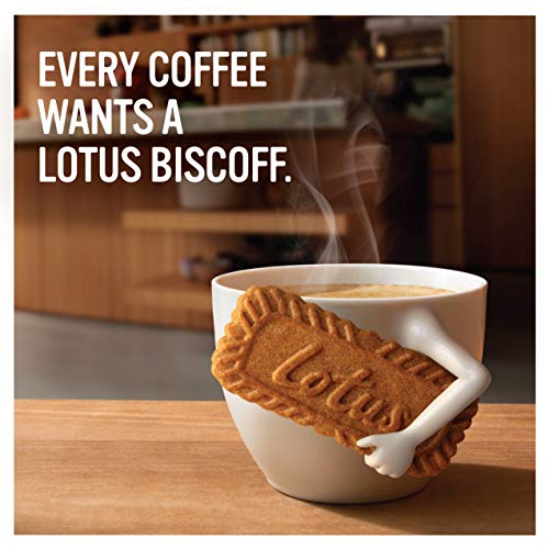 Lotus Biscoff Cookies, Caramelized Biscuit Cookie Snack, Dispenser Box (20 sleeves of 2 extra large cookies) Vegan, 0.9 Ounce (Pack of 20)